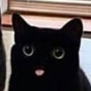 Meet your Posher, Ben